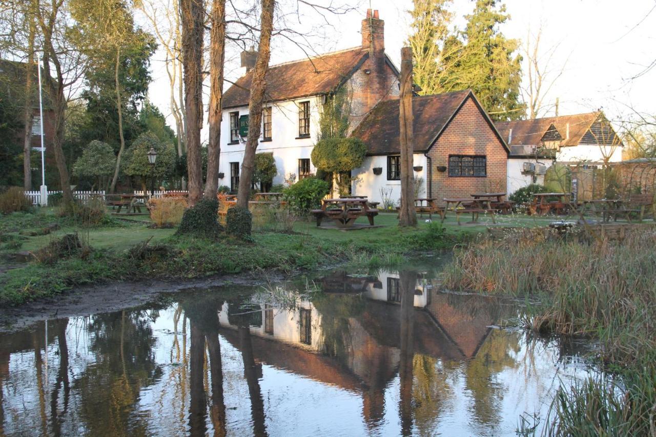 Lane End Cottage Ovington  Extérieur photo